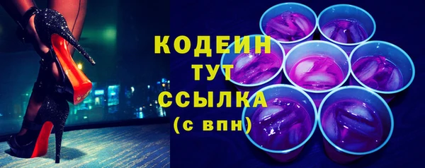 соль ск Инсар