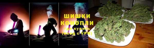соль ск Инсар