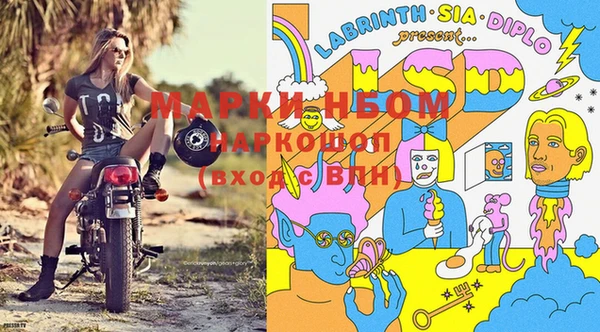 соль ск Инсар