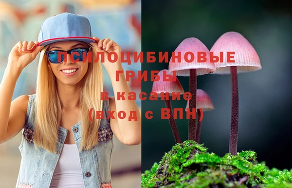 соль ск Инсар