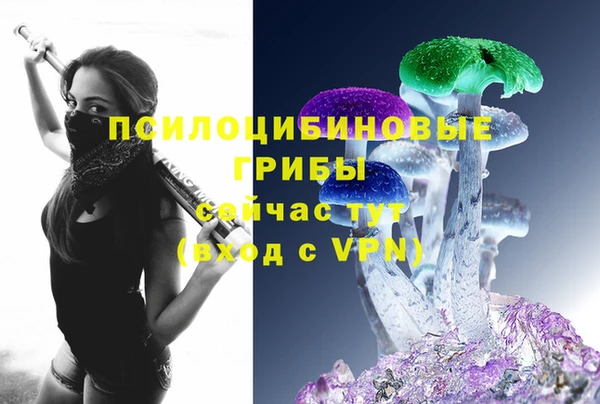 соль ск Инсар