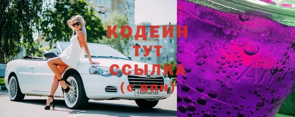 соль ск Инсар