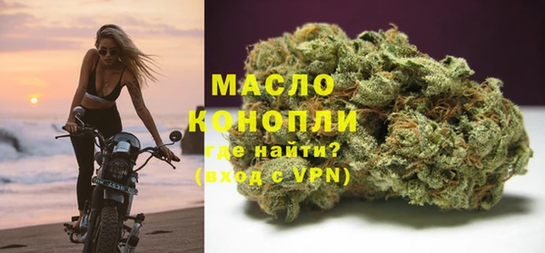соль ск Инсар