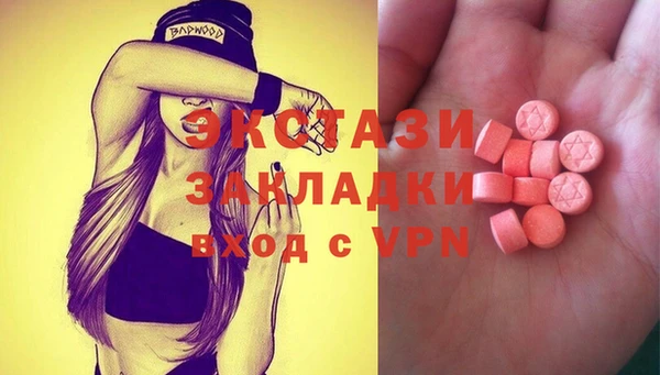 соль ск Инсар