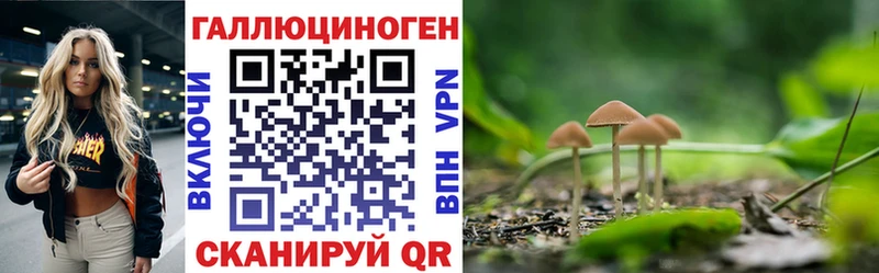 Галлюциногенные грибы MAGIC MUSHROOMS  Купить  Ялуторовск 
